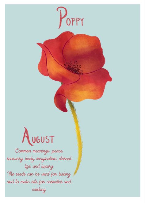 Flower Gladiolus, August Poppy, August Month, Logo Design Inspiration Creative, Paint Flowers, Succulent Garden Diy, Flower Meanings, Month Flowers, Succulent Garden