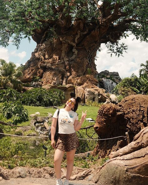 i miss disney content 🥲 so here are some of randoms from animal kingdom day 🦒 PS: dont miss this park! they have some of my fav rides 🤗 Disney Animal Kingdom Outfit, Animal Kingdom Disney World, Animal Kingdom Outfit, Disney World Animal Kingdom, Disney Florida, 5 Year Plan, Disney Things, Disney Ideas, Year Plan