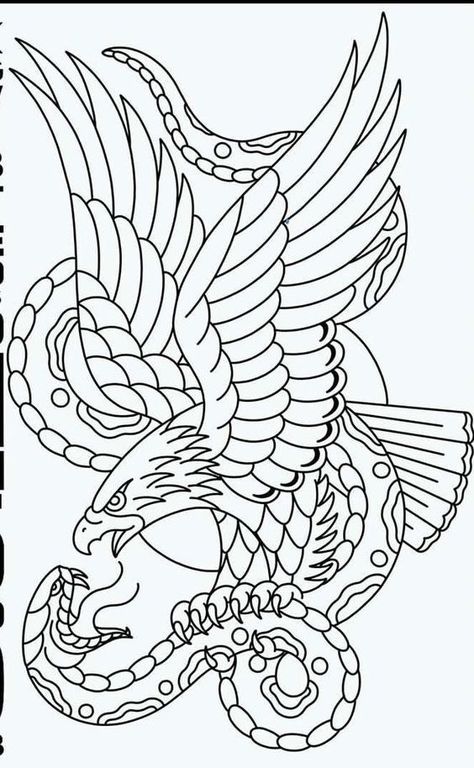 Eagle vs snake Art Eagle And Snake, Flash Art Tattoos, Traditional Tattoo Outline, Tattoo Main, Traditional Eagle, Traditional Eagle Tattoo, Traditional Tattoo Stencils, Tato Naga, Traditional Tattoo Sleeve