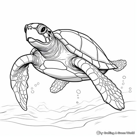 Turtle Eyes Drawing, Drawing A Turtle, Turtle Pencil Drawing, Cute Sea Turtle Drawing, Turtle Drawing Simple, Sea Turtle Coloring Pages, Sea Animal Drawing, Turtles Drawing, Draw Turtle