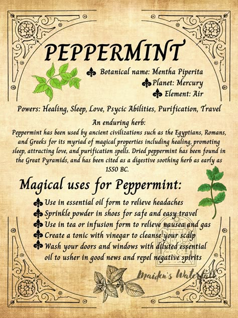 An enduring herb: Peppermint has been used by ancient civilizations such as the Egyptians, Romans, and Greeks for its myriad of magical properties including healing, promoting sleep, attracting love, and purification spells. Dried peppermint has been found in the Great Pyramids, and has been cited as a digestive soothing herb as early as 1550 BC.   This "Peppermint" printable can be used as wall art, or you can add it to your notebook or herbology journal. This page is also a great addition to a Witchcraft Tools, Wiccan Art, Attracting Love, Magickal Herbs, Witch Herbs, Herb Gardens, Magic Spell Book, Magic Herbs, Grimoire Book