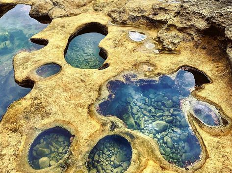 This BC Shoreline Is Full Of Rich Tide Pools You Must See At Least Once Tide Pool Art, Pool Tattoo, Rocks Around Pool, Cave Photos, Tidal Pool, Sea Dream, Rock Beach, Tide Pool, Suitcase Travel