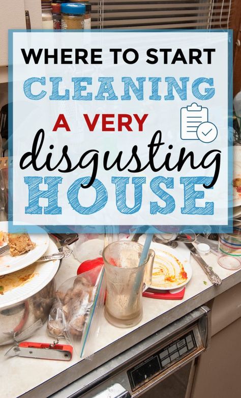 How to Clean a Disgusting Room Step-by-Step! Disgusting Room, Clean Messy House, Easy House Cleaning, Dirty Room, Messy House, Easy Cleaning Hacks, House Cleaning Checklist, Diy Cleaning Hacks, Start Cleaning