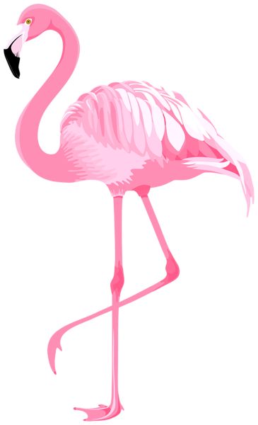 Flamingo Clip Art, Flamingo Pictures, Flamingo Illustration, Flamingo Art Print, Digital Art Software, Flamingo Wallpaper, Flamingo Painting, Clip Art Png, Flamingo Art