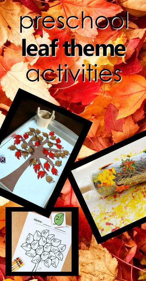 Leaf Activities For Preschool, Preschool Leaves Activities, Apples Activities, Preschool Teacher Tips, Leaf Activities, Teaching Preschoolers, September Themes, Preschool Fall, Montessori Lessons