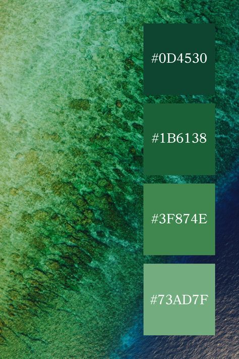 A top-down view of a coastal reef featuring a sea green color palette, transitioning from mossy greens near the shore to darker teal as it merges with the deep blue of the ocean, illustrating the rich biodiversity of marine life. Sea Green Color Palette, Color Palette Code, Color Scheme Generator, Jewel Tone Color Palette, Code Color, Dark Sea Green, Green Color Palette, Sea Green Color, Green Palette