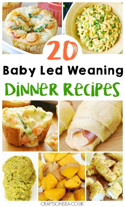 Need inspiration quickly? We've got 20 baby led weaning dinner ideas suitable for the whole family and perfect for finger foods too!  via @craftsonsea Dinner Ideas For Baby, Baby Led Weaning Dinner Ideas, Fingerfood Baby, Recipes For Babies, Weaning Foods, Baby Led Weaning Recipes, Weaning Recipes, Baby Finger Foods, Baby Finger