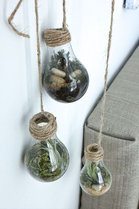 Light Bulb Terrarium Diy, Diy Light Bulb Crafts, Bulb Terrarium, Light Bulb Terrarium, Diy Hanging Light, Light Bulb Vase, Diy Light Bulb, Light Bulb Crafts, Light Bulb Ornaments