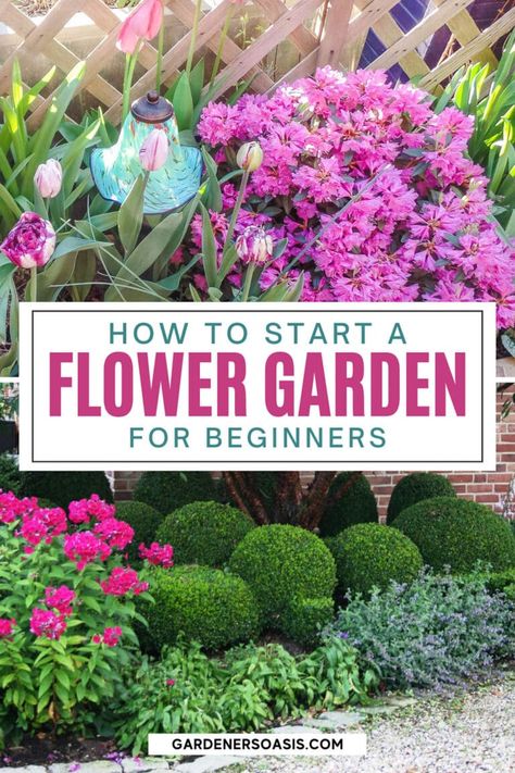 These flower garden ideas for beginners will show you exactly how to start a garden of your own! If you're looking for inspiration to get started, this is the post for you. Perfect for new gardeners! Flower Garden For Beginners, Flower Garden Layouts, Garden Planning Layout, Small Flower Gardens, Garden For Beginners, Backyard Flowers Garden, Flower Garden Plans, Flower Garden Design, Gardening Flowers