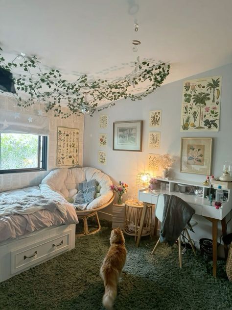 Aesthetic Rooms With Carpet Floors, Small Cosy Bedroom Aesthetic, Fairy Cottage Core Room Ideas, Europe Aesthetic Room, Room Ideas Aesthetic Day Bed, Green And Tan Bedroom Aesthetic, Rooms Green Aesthetic, Cozy Cottage Room Aesthetic, Forestry Room Aesthetic