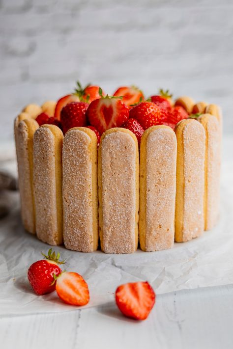 Strawberry Charlotte Cake - RECIPE - nobizlikedoughbiz Strawberry Charlotte Cake, Mousseline Cream, Strawberry Charlotte, Easy Cakes To Make, Charlotte Cake, Summer Cakes, Strawberry Sauce, Strawberry Puree, Strawberry Milk