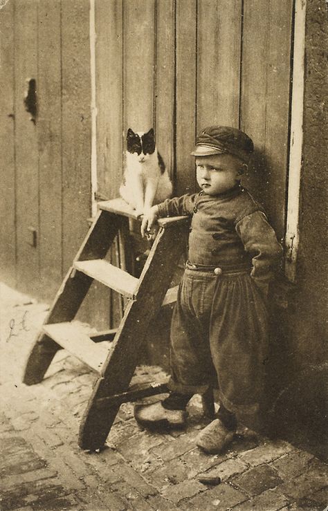 Roger Laute, Dutch boy and the Cat. Vintage Foto's, People Cutout, Vintage Children Photos, Pet Pictures, Hope Life, Vintage Pics, Boy Cat, Pet Rescue, Old Cats