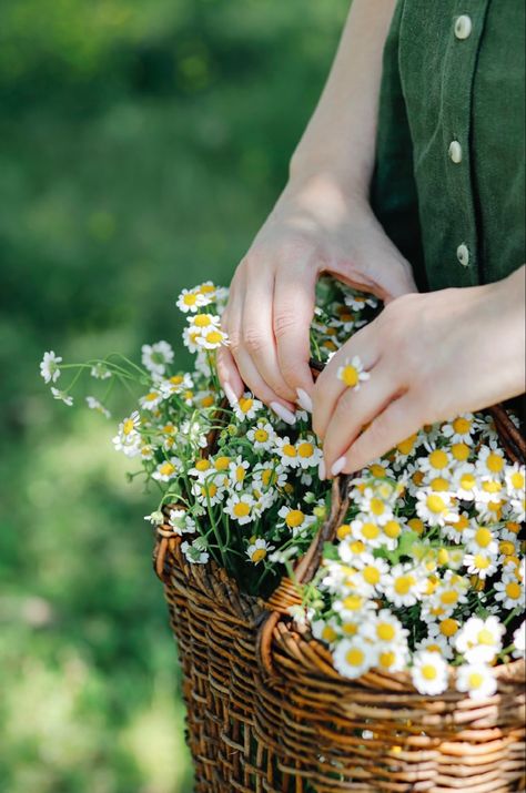 #summer #summervibes #summervibes #cottagecore #cottagecoreaesthetic #farm #summerphotoshoot #christian #christianity #christiangirl #christianblog #christianliving #slowliving #slowlife #daisy #daisies #flowers #flowerstagram #basket #thrift Cute Profile, Watercolor Art Face, Summer Photoshoot, Cottage Core Aesthetic, Cottagecore Aesthetic, Flower Lover, Flower Basket, Spring Garden, Beautiful Summer