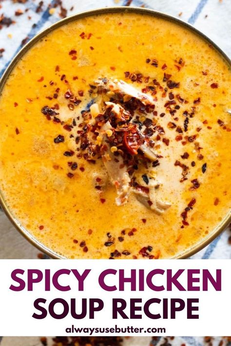 Spicy Chicken Soup Recipe Pinterest Image Creamy Spicy Chicken, Spicy Chicken Soup Recipes, Instant Pot Turkey Soup, Spicy Soup Recipes, Spicy Chicken Noodles, Spicy Chicken Soup, Homemade Chicken Soup, Chicken Soup Recipe, Creamy Chicken Soup