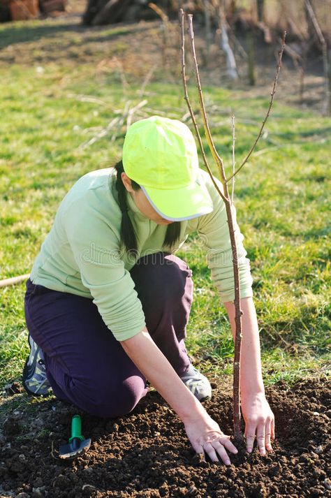 Planting Reference Pose, Planting A Tree Aesthetic, People Planting Trees Drawing, People Planting Trees, 2024 Habits, Journaling 2024, People Gardening, Tree Sapling, Planting A Tree