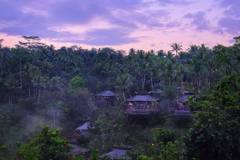 The Top 5 Resort Hotels in Indonesia Capella Ubud, Resort In Bali, Massage Dos, Jungle Resort, Singapore Grand Prix, Bali Resort, Glamping Resorts, Bali Vacation, Legian