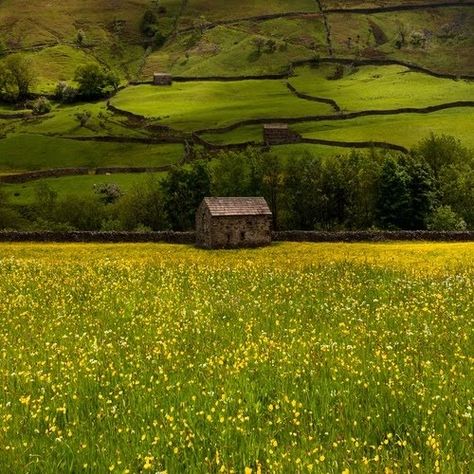 Jaime Lannister, Green Field, Green Hills, Arya Stark, England And Scotland, Yorkshire England, English Countryside, England Travel, British Isles