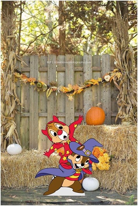 Chip And Dale Halloween, Disney Chip And Dale, Halloween Yard Displays, Disney Chip, Halloween Yard Art, Disney Garden, Shop Disney, Halloween Outside, Christmas Yard Art