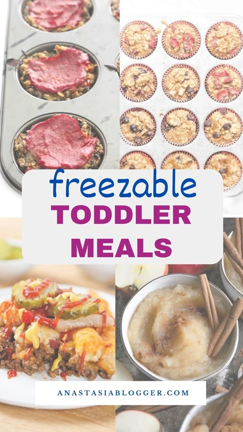 As a busy mom, I understand that you may not always have time to prepare a fancy meal for your children. Here are some wonderful freezable toddler meal dishes that your kids will enjoy! Toddler Meal Prep Freezer Cooking, Freezable Blw Recipes, Freezer Meals For Toddlers, Healthy Toddler Meal Prep, Freezer Friendly Toddler Meals, Freezable Toddler Meals, Toddler Recipes To Make Together, Toddler Meal Prep For The Week, Toddler Freezer Meals