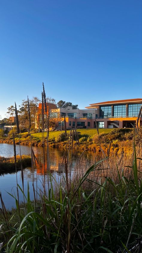 Uc Santa Barbara Campus, Uc Santa Barbara Aesthetic, Ucsb College Aesthetic, Ucsb Aesthetic, Ucsb Campus, Ucsb College, Santa Barbara Aesthetic, University Of Santa Barbara, 2023 Rebrand