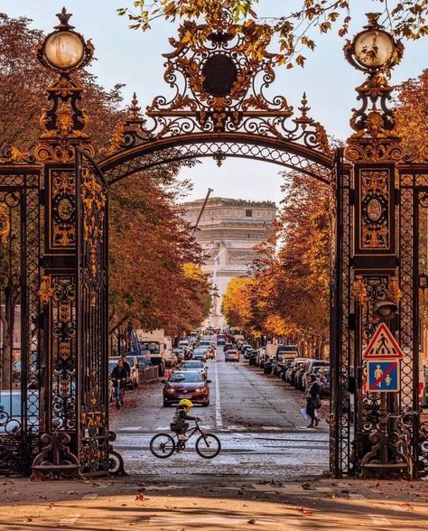 Vivre Paris (@vivreparis) posted on Instagram • Nov 4, 2021 at 5:58am UTC Pantheon Paris, Paris France Photos, Photo Animaliere, Street Trees, Paris Vacation, France Photos, Paris Love, Paris Photos, Tour Eiffel