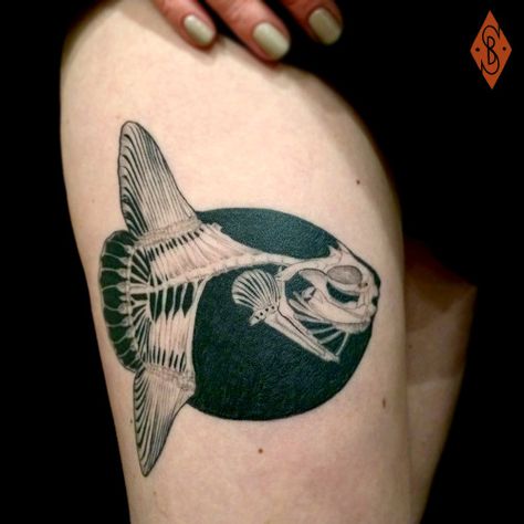 Biology Tattoo, Scientific Tattoo, Hairline Tattoos, Negative Space Tattoo, Mola Mola, M Tattoos, Tattoo Graphic, Fish Tattoo, Japanese Tattoo Art