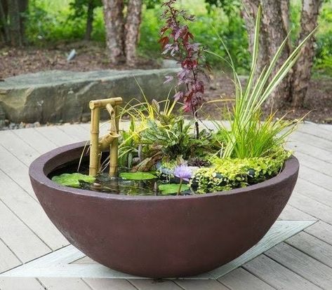 Small Water Gardens, Potted Plants Patio, Mini Pond, Kolam Air, Container Water Gardens, Patio Pond, Taman Air, Indoor Water Garden, Indoor Water Fountains