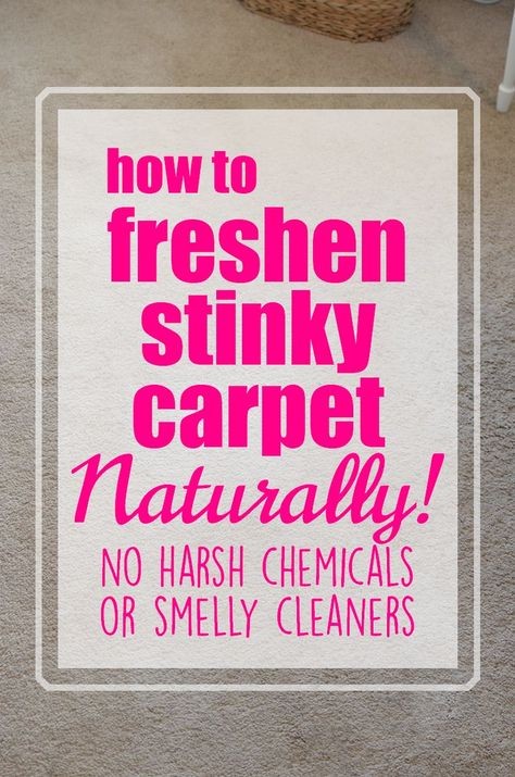 If you have pets or children or people living in your house and have carpet, then you know it can get a bit ripe... as in stanky.  Here is my method for how to freshen carpet - Naturally! Freshen Carpet, Daily Cleaning Routine, Carpet Freshener, Cleaner Recipes, Routine Tips, Daily Cleaning, Cleaners Homemade, Simple Life Hacks, Natural Cleaning Products