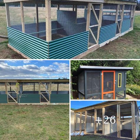 Dog Run Chicken Coop Ideas, Low Budget Chicken Coop Ideas, Budget Chicken Coop, Chicken Coop Ideas, Chicken Coup, Coop Ideas, Chicken Runs, Chicken House, Chicken Coops