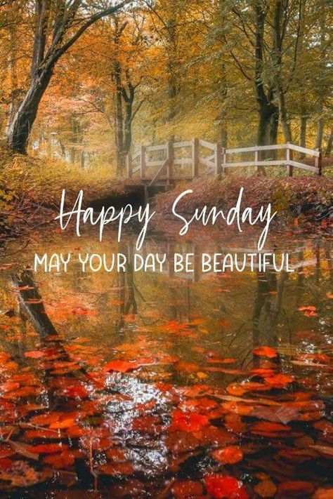 Sunday Sunday Morning Images, Sunday Morning Wishes, Blessed Sunday Morning, Happy Sunday Images, Good Morning Sunday Images, Good Morning Sunday, Sunday Morning Quotes, Happy Sunday Morning, Sunday Greetings