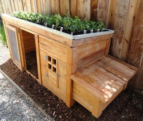 Chicken coop with garden roof Sloping Garden, Pallet Garden Benches, Quail Coop, Portable Chicken Coop, Backyard Chicken Coop Plans, Backyard Garden Layout, Small Vegetable Gardens, Coop Design, Chicken Coop Designs