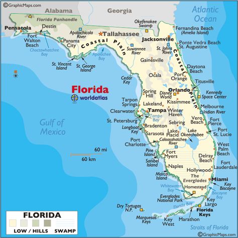 Large Print Map of Florida | world map north america usa florida maps large color map Map Of Florida Beaches, Geography Facts, Orlando Springs, Florida Road Trip, Map Of Florida, Gulf Coast Florida, Jacksonville Beach, Fernandina Beach, Florida Living