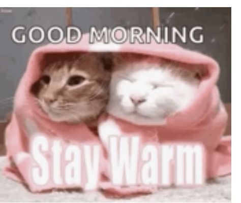 Stay Warm Quotes, Good Morning Meme, Weekly Quotes, Morning Gifs, Good Morning Winter, Good Morning Cat, Good Morning Posters, Funny Good Morning Images, Morning Winter