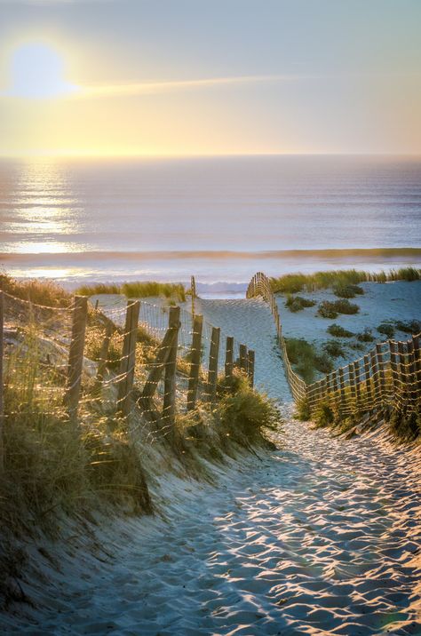 Strand Foto's, Matka Natura, Belle Nature, I Love The Beach, Oceanography, Beach Trips, Photography Beach, Sand Dunes, Beach Scenes