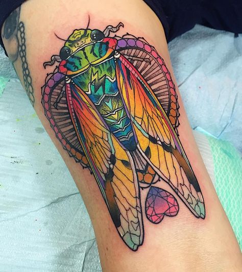 I finally got to tattoo a cicada! on the lovely Tanya, who has a seriously impressive collection of tattoos from @getmooretattoos @_eckel @emily_rose_murray @crispylennox @jacobjgardner NO PRESSURE  she's also just opened up a rad little shop on Main Street in Vancouver, check it out! @thismonkey.ca #cicadatattoo #bugtattoo #eternalink #hushanesthetic Cicada Tattoo, Dibujos Tattoo, Bug Tattoo, Insect Tattoo, Hawaiian Tattoo, Moth Tattoo, Tatuaje A Color, Traditional Tattoo Design, Trendy Tattoos