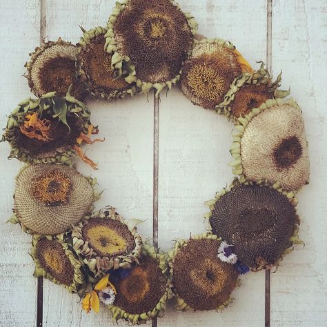 Dried Sunflower Wreath hanging on a barn door Dried Sunflower Wreath, Strawflower Crafts, Dry Sunflowers, Harvest Sunflowers, Painted Sunflowers, Dried Sunflowers, Sunflower Head, Make Your Own Wreath, Sunflower Crafts