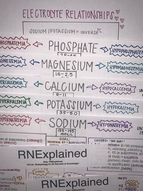 **THIS IS A BUNDLE**This bundle includes FIVE major electrolyte study sheets that are NOT sold individually on my shop. It include an electrolyte relationship chart for easy reference as well. - Electrolyte Relationship Chart- Sodium- Potassium- Calcium- Magnesium- PhosphateMore to come, keep checking back! Handwritten study sheets on common diseases, disorders, medications, and helpful tips for nursing students and graduate nurses studying for the NCLEX! I found these to be extremely helpful fo Nursing School Fluid And Electrolytes, Fluid And Electrolytes Nursing Notes, Nursing Electrolytes Cheat Sheets, Electrolytes Nursing Cheat Sheets, Fluid And Electrolytes Nursing Made Easy, Ems Mnemonics, Fluid And Electrolytes Nursing, Nursing Foundations, Electrolytes Nursing