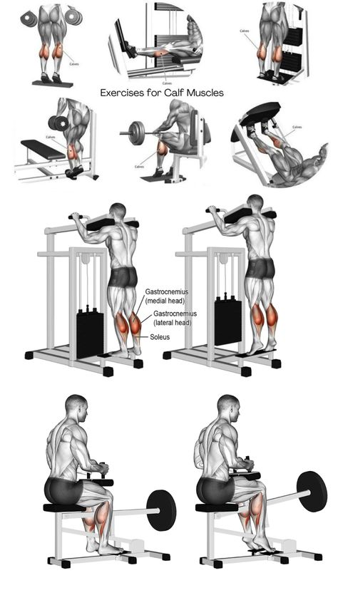 Grow Your Calves, Calf Muscles, How To Grow, Muscles, To Grow, Blog Posts, Carving, Key, Building