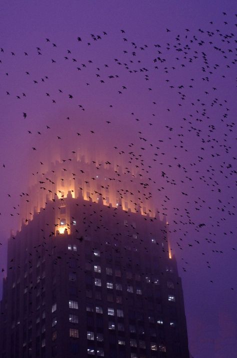 Art Deco on a Foggy Houston Evening Houston Skyline, Stephanie Brown, Downtown Houston, Color Violeta, Art Deco Buildings, Space City, Gotham City, Purple Aesthetic, The Villain