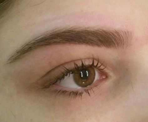 Long Eyebrows Natural, Soft Eyebrows Natural Looks, Eyebrow Claim, Beautiful Eyebrows Natural, Eyebrow Inspo Natural, S Shaped Eyebrows, Soft Arch Eyebrows, Lifted Eyebrows, Perfect Natural Eyebrows