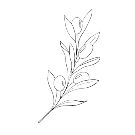 Greece Tattoo, Olive Tattoo, Olive Branch Tattoo, Girl Shoulder Tattoos, Branch Tattoo, Tattoo Style Drawings, Soyut Sanat Tabloları, Leaf Drawing, Dainty Tattoos