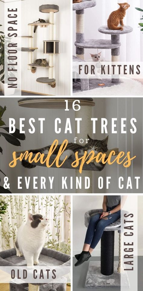 Cat Tree Wall Ideas, Corner Cat Tower, Cat Trees And Condos, Apartment Cat Ideas Small Spaces, Cat Trees Diy, Cat Tower Diy, Apartment Cat Ideas, Aesthetic Cat Tree, Trees For Small Spaces