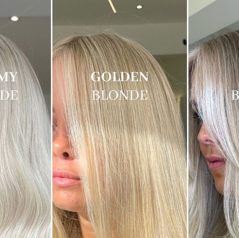 Ellie Spencer Hair on Instagram: "𝗪𝗛𝗜𝗖𝗛 𝗕𝗟𝗢𝗡𝗗𝗘 𝗔𝗥𝗘 𝗬𝗢𝗨 𝗖𝗛𝗢𝗢𝗦𝗜𝗡𝗚? 🤝🏼  There are so many different tones and shades of blondes for you to choose from!   I love when my clients come to me wanting a certain shade but I always help you to understand which tones will best suit your skin tone and features.   Whether it’s a warm, sun-kissed blonde ready for summer or a cool-toned, ash blonde, I love getting creative and making your colour look 𝗯𝗲𝗮𝘂𝘁𝗶𝗳𝘂𝗹 💛  To book your consultation with me send a direct message 📲  @youmcr_  @lorealpro_education_uki  @lorealpro @olaplex  @colorwowhair   #blondetones #blondeinspo #sunkissedblonde #goldenblonde #ashblonde #blondespecialist #mcrblonde #hairlove #hairgoals #babyblonde #hairtechniques #blendedhair #dimensionalblonde Sunny Blonde, Dimensional Blonde, Blonde Tones, Hair Techniques, Come To Me, Color Magic, Shades Of Blonde, Golden Blonde, Tone Hair