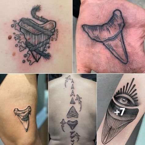 The post What’s the Meaning of a Shark Tooth Tattoo? appeared first on TattooAdore. Hammerhead Shark Tooth Tattoo, Shark Tooth Tattoo Traditional, Sharks Tooth Tattoo, Tooth Tattoos, Shark Tooth Tattoo, Tooth Tattoo, Grim Reaper Tattoo, Reaper Tattoo, Stick N Poke Tattoo