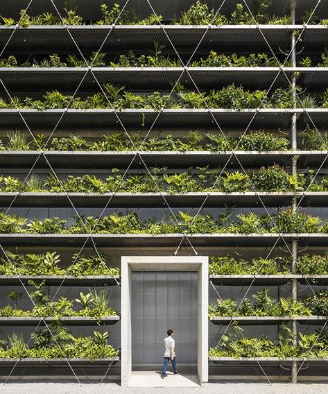 Factory Facade, Green Facade, Tropical Architecture, Alfred Stieglitz, Green Architecture, Commercial Architecture, Industrial Buildings, Wall Systems, Sustainable Architecture