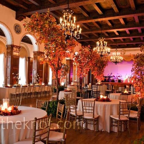 Decor help, where to find fake fall trees? | Weddings, Style and Décor | Wedding Forums | WeddingWire Wedding Reception Planning, Indoor Tree, Large Centerpiece, Wedding Inspiration Fall, Wedding Time, Trendy Wedding, Here Comes The Bride, Autumn Theme, Reception Decorations