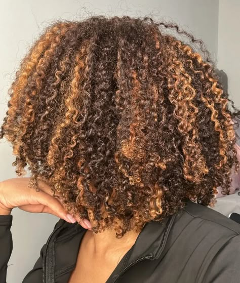 Black Woman Dyed Natural Hair, Dyed Type 4 Natural Hair, Cute Natural Hair Color Ideas, Afro Hair Dye Ideas, Highlights 4c Hair, Afro Hair Highlights, Dyed Hair Dark Skin, Highlights On 4c Hair, 4c Dyed Hair