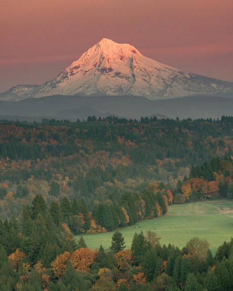 Sunset over Mount Hood - Portland, OR Mount Hood Oregon, Oregon Landscape, Disneyland Christmas, Mount Hood, The Lost World, National Photography, Nature Posters, Cool Landscapes, Nature Aesthetic