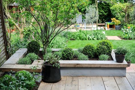 Give your garden a modern edge by creating a contemporary raised bed, by following our practical guide, from the experts at BBC Gardeners' World Magazine. Dog Friendly Garden, Shed Landscaping, Contemporary Garden Design, Vegetable Garden Raised Beds, Building A Raised Garden, Back Garden Design, Modern Garden Design, Contemporary Garden, Raised Bed