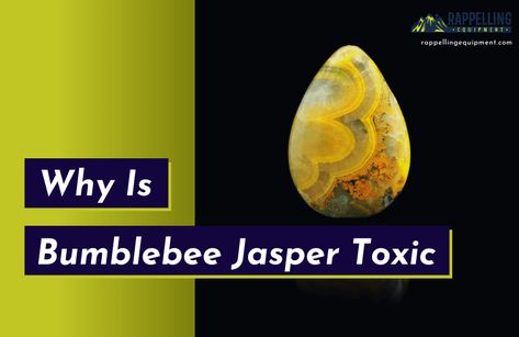 Is Bumblebee Jasper Toxic? (BE CAREFUL WITH THIS) Bumblebee Jasper Jewelry, The Crystals, Bumblebee Jasper, Jasper Jewelry, Bumble Bee Jasper, The Human Body, Be Careful, Bumble Bee, No Way